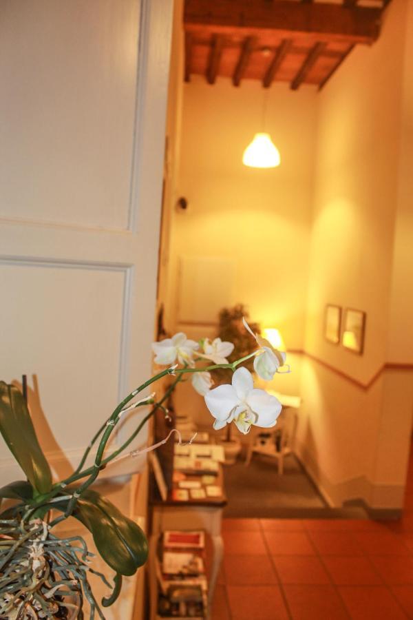 伊尔塞米纳里奥住宿加早餐酒店 卢卡 外观 照片